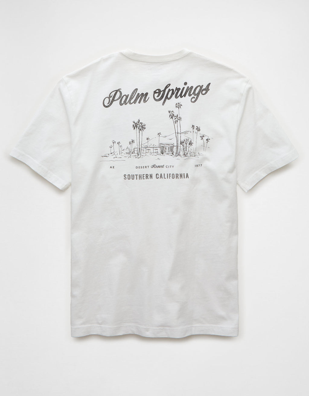 Camiseta Gráfica con Logo Ae - Blanco 0181_4419_100_b