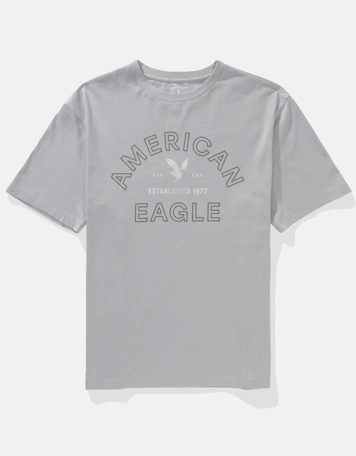 Camiseta Gráfica con Logo Ae - Gris 0181_4493_020_f