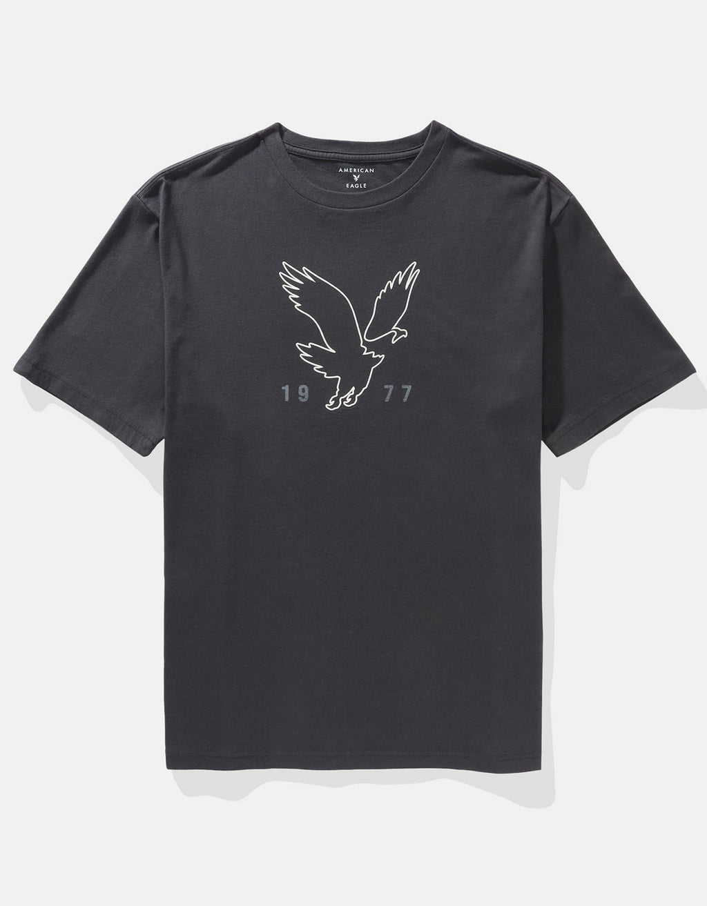 Camiseta Gráfica con Logo Ae - Gris 0181_4493_023_f