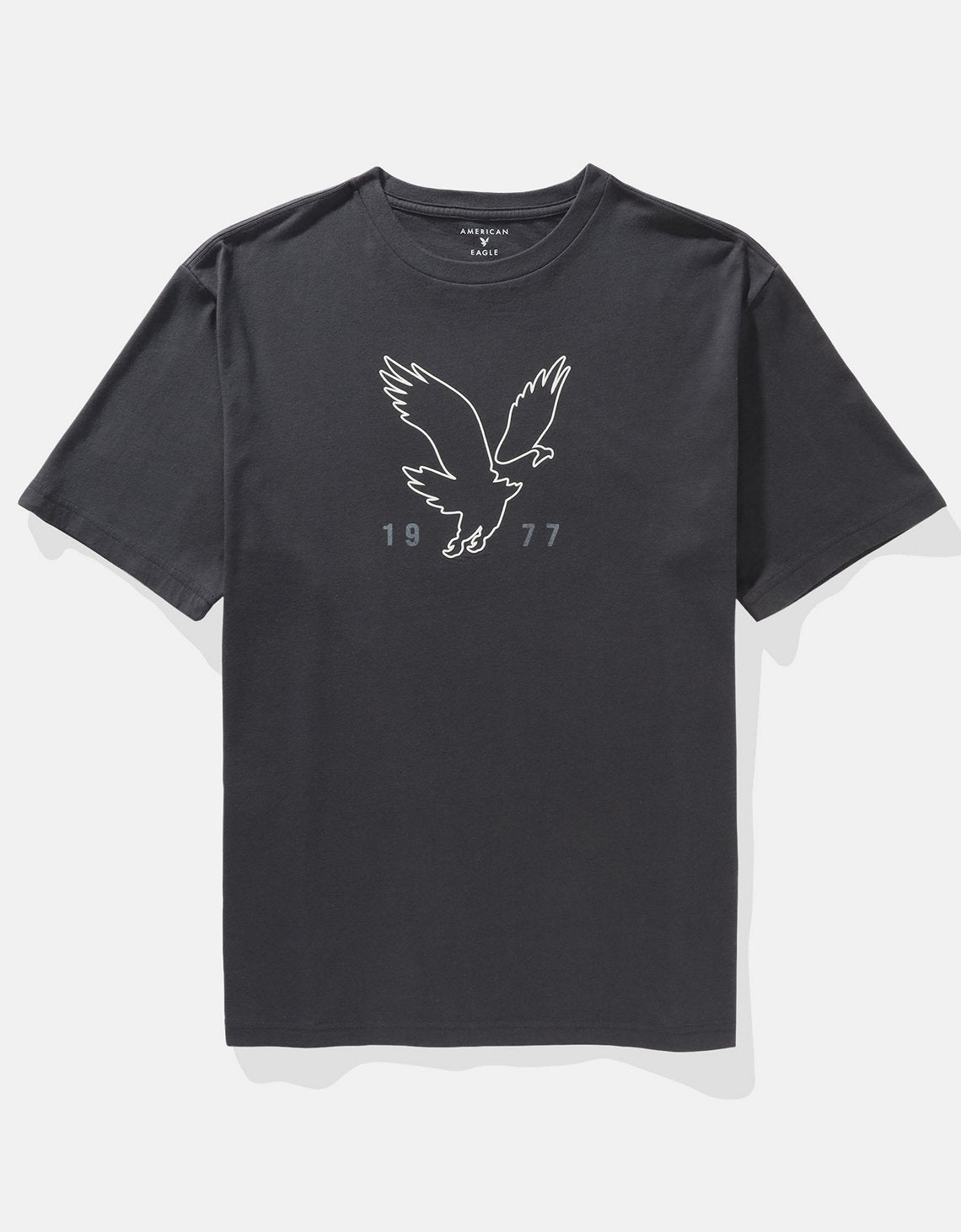 Camiseta Gráfica con Logo Ae - Gris 0181_4493_023_f