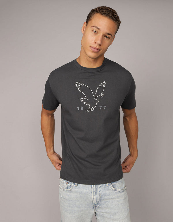 Camiseta Gráfica con Logo Ae - Gris