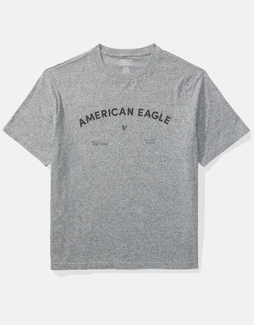 Camiseta gráfica con logotipo icónico Ae - Gris 0181_4894_012_f