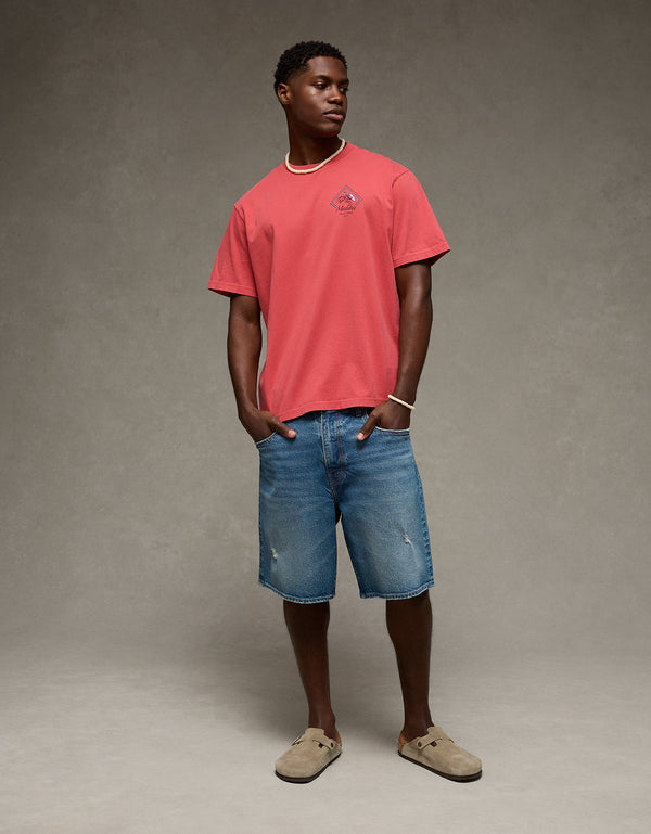 Camiseta Gráfica de Destino Ajuste Estándar Ae - Rojo