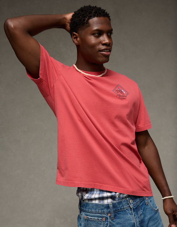 Camiseta Gráfica de Destino Ajuste Estándar Ae - Rojo