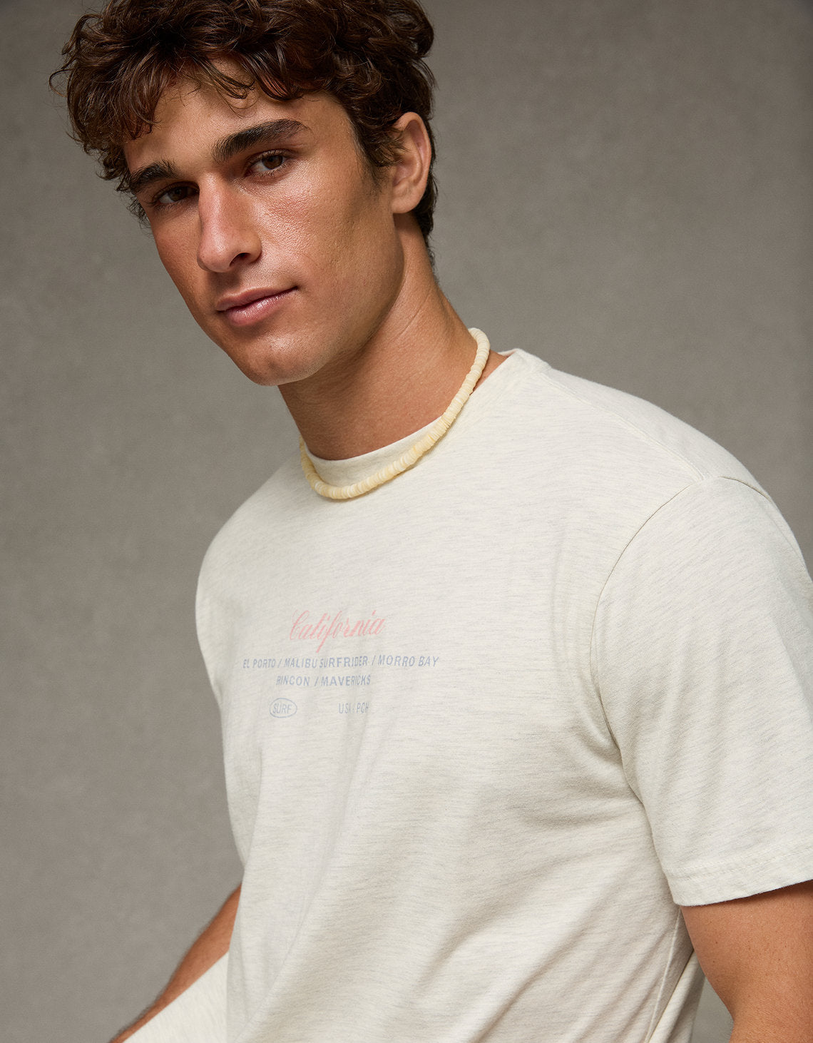 Camiseta Gráfica de Destino Ajuste Estándar Ae - Gris 0181_5914_006_of