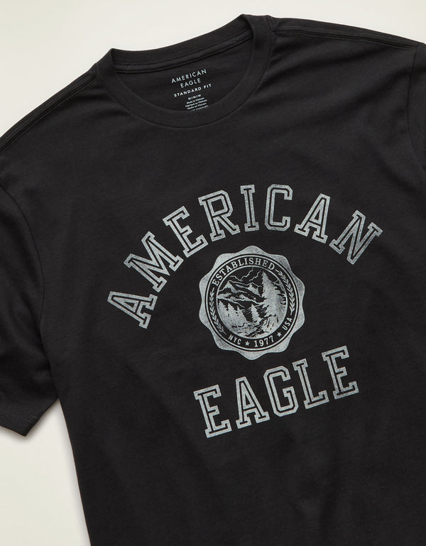 Camiseta con logotipo gráfico de ajuste estándar Ae - Gris