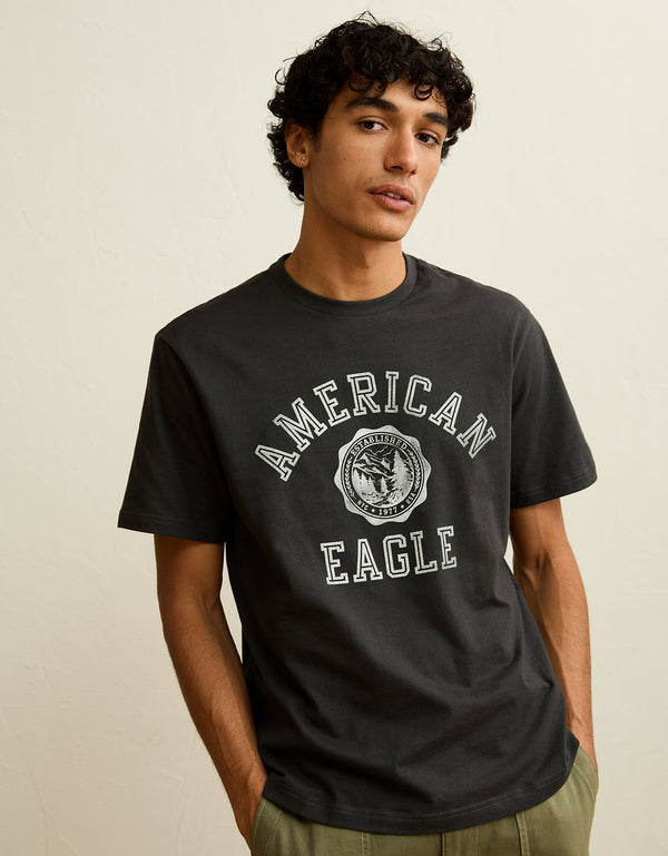 Camiseta con logotipo gráfico de ajuste estándar Ae - Gris