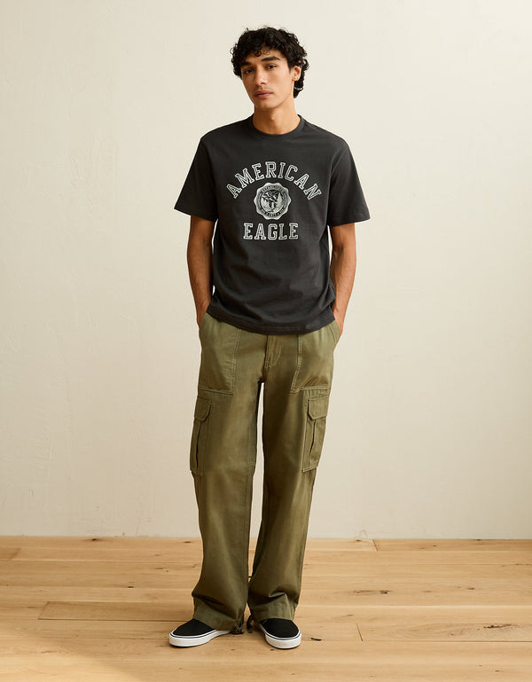 Camiseta con logotipo gráfico de ajuste estándar Ae - Gris