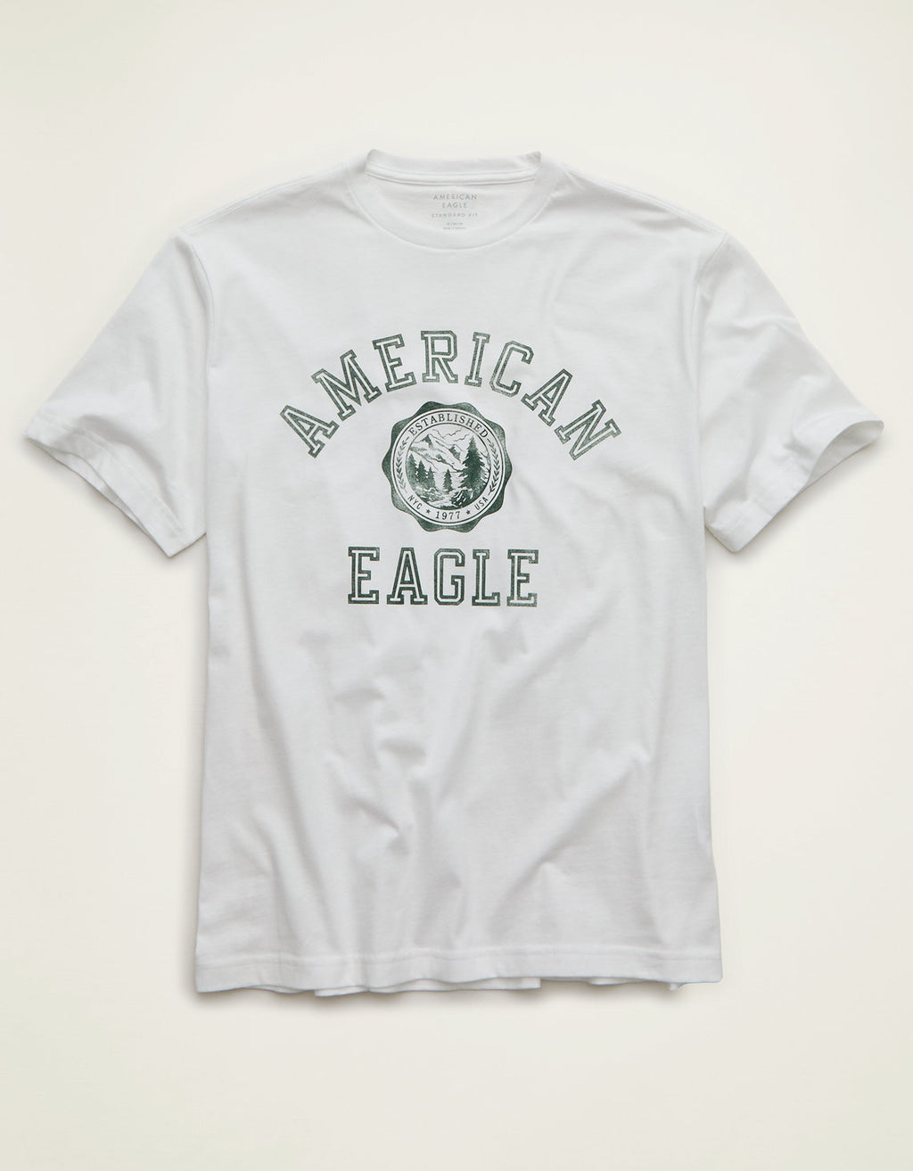 Camiseta con logotipo gráfico de ajuste estándar Ae - Blanco 0181_5930_100_f