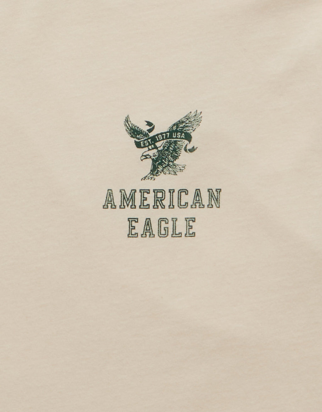 Camiseta con logotipo gráfico de ajuste estándar Ae - Caqui 0181_5930_210_d1