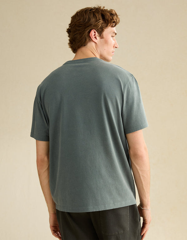 Camiseta con logotipo gráfico de ajuste estándar Ae - Verde
