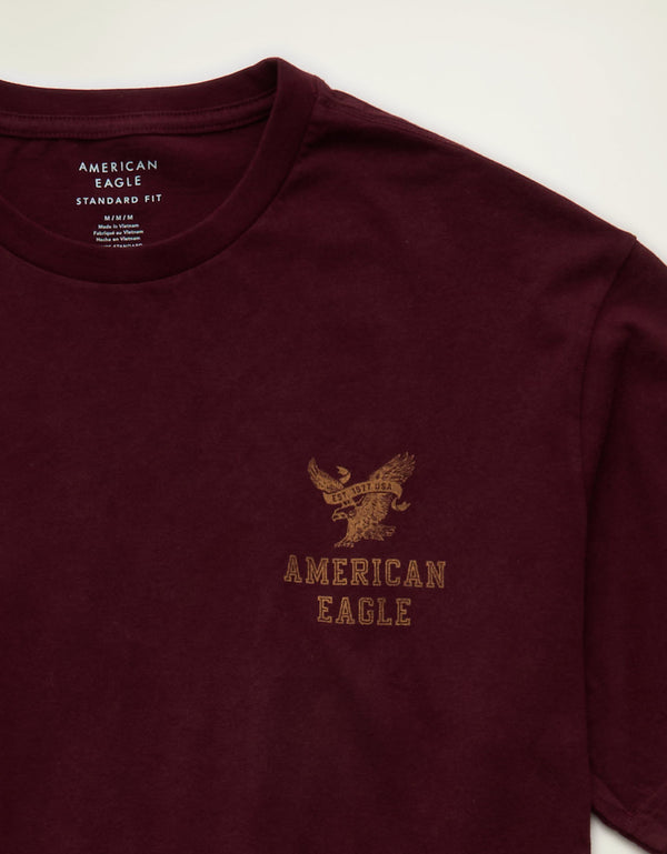 Camiseta con logotipo gráfico de ajuste estándar Ae - Vinotinto