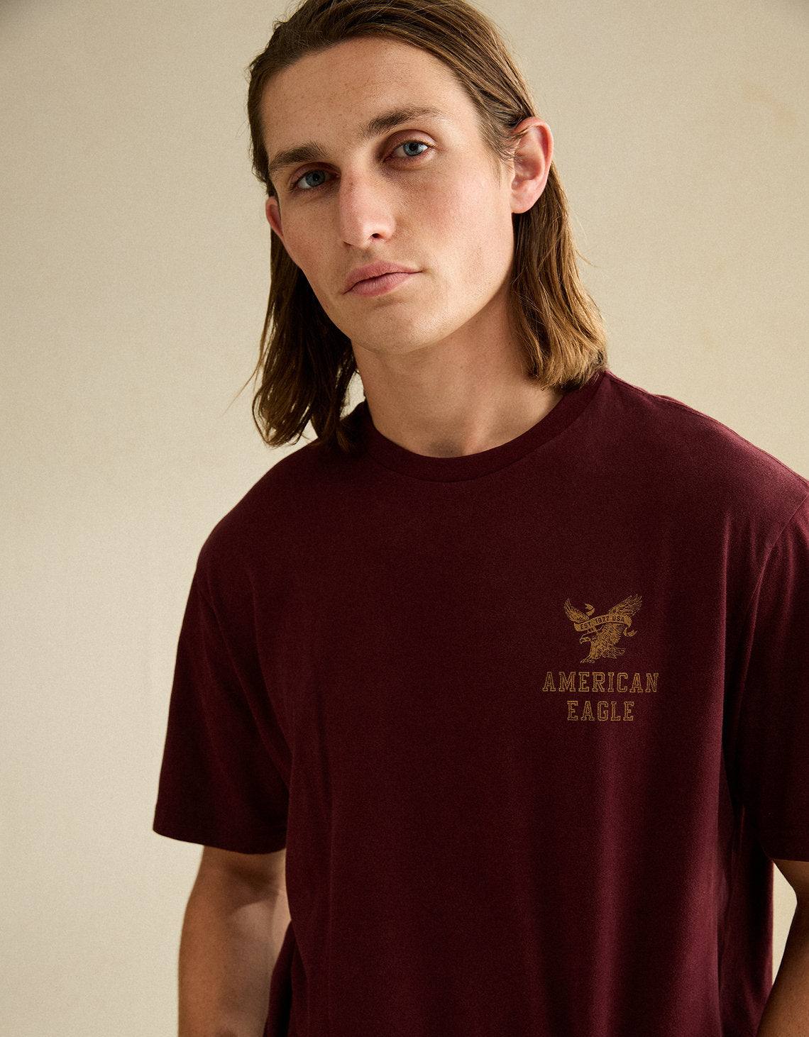 Camiseta con logotipo gráfico de ajuste estándar Ae - Vinotinto 0181_5931_613_of