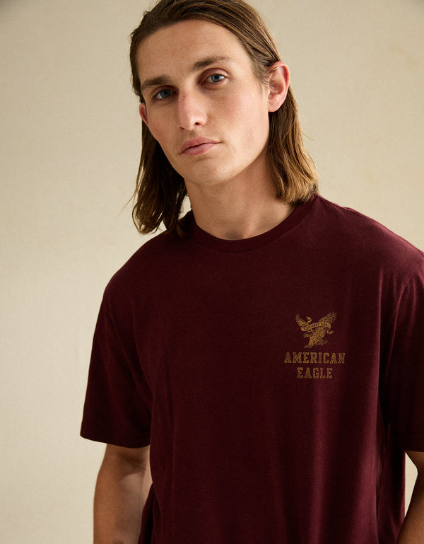 Camiseta con logotipo gráfico de ajuste estándar Ae - Vinotinto