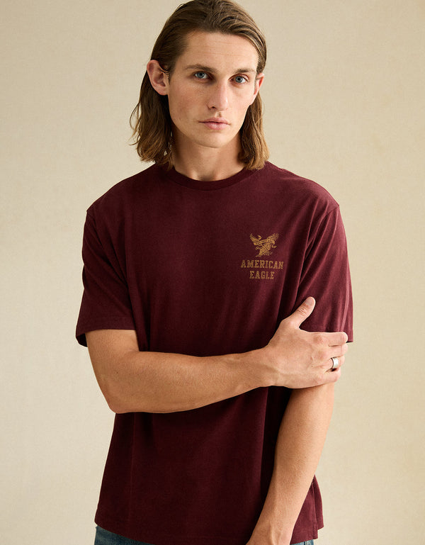 Camiseta con logotipo gráfico de ajuste estándar Ae - Vinotinto