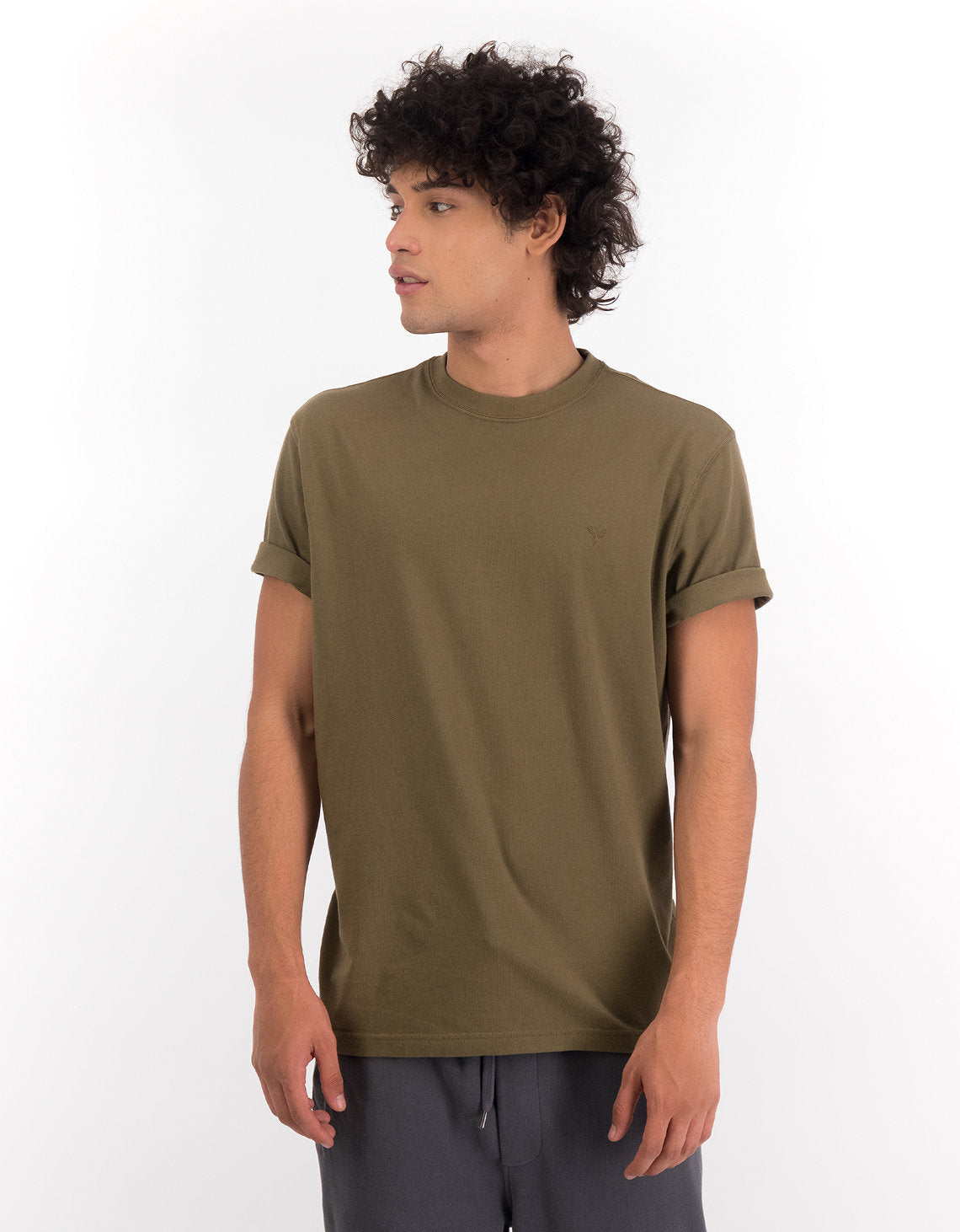 Camiseta Oversized Ae - Verde 1164_1539_309_of