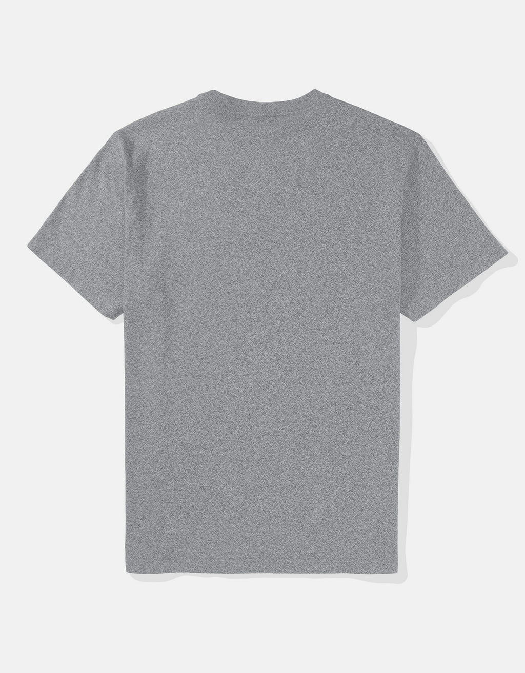 Camiseta Lived-In Manga Corta Ae - Gris 1164_1757_006_b