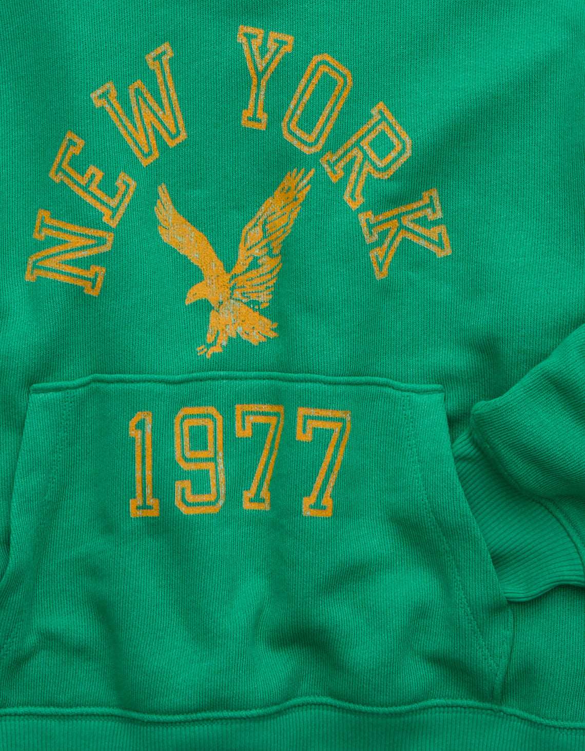 Sudadera con capucha Ae Campus - Generico 1453_3049_370_d1