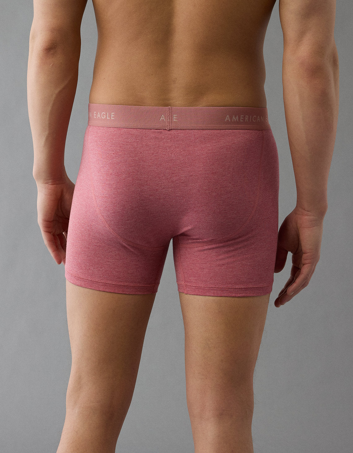Bóxer Clásico de 4,5 pulgadas Ae - Rosa 3234_4150_654_ob